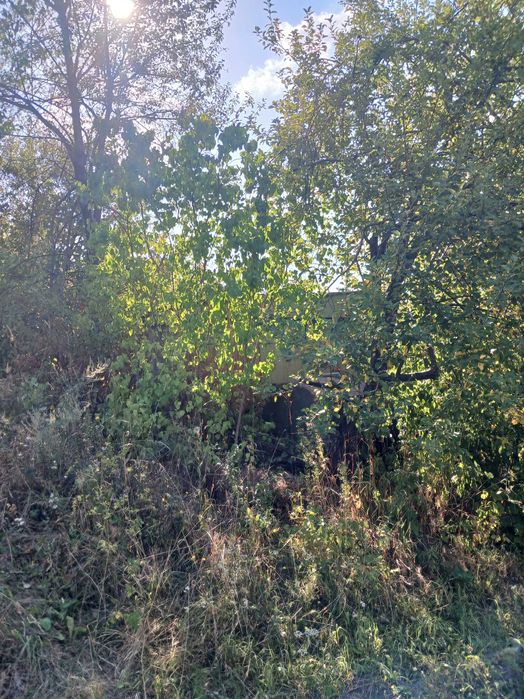 Дача біля термального басейну в Берегові з садовою ділянкою 6.5 соток