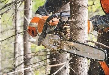 Przycinanie ,wycinanie , wyrywanie, korzenie, koszenie, drzewa, krzewy