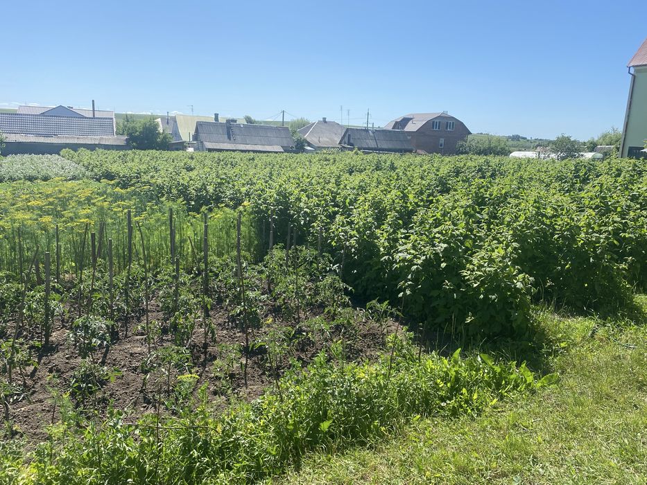 Продаж будинку м.Зборів