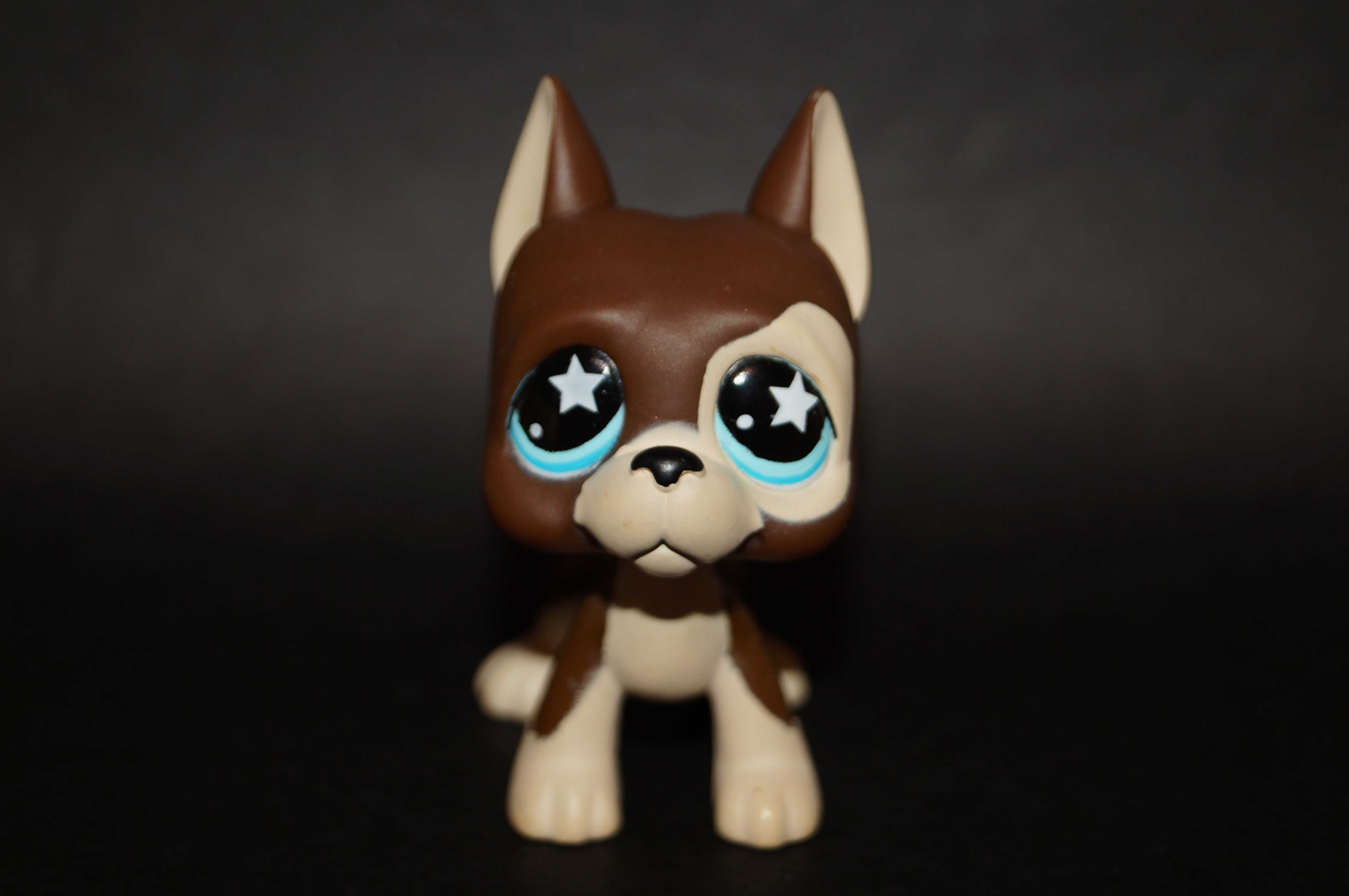 Littlest Pet Shop #817/1 dog LPS oryginał 100% pop
