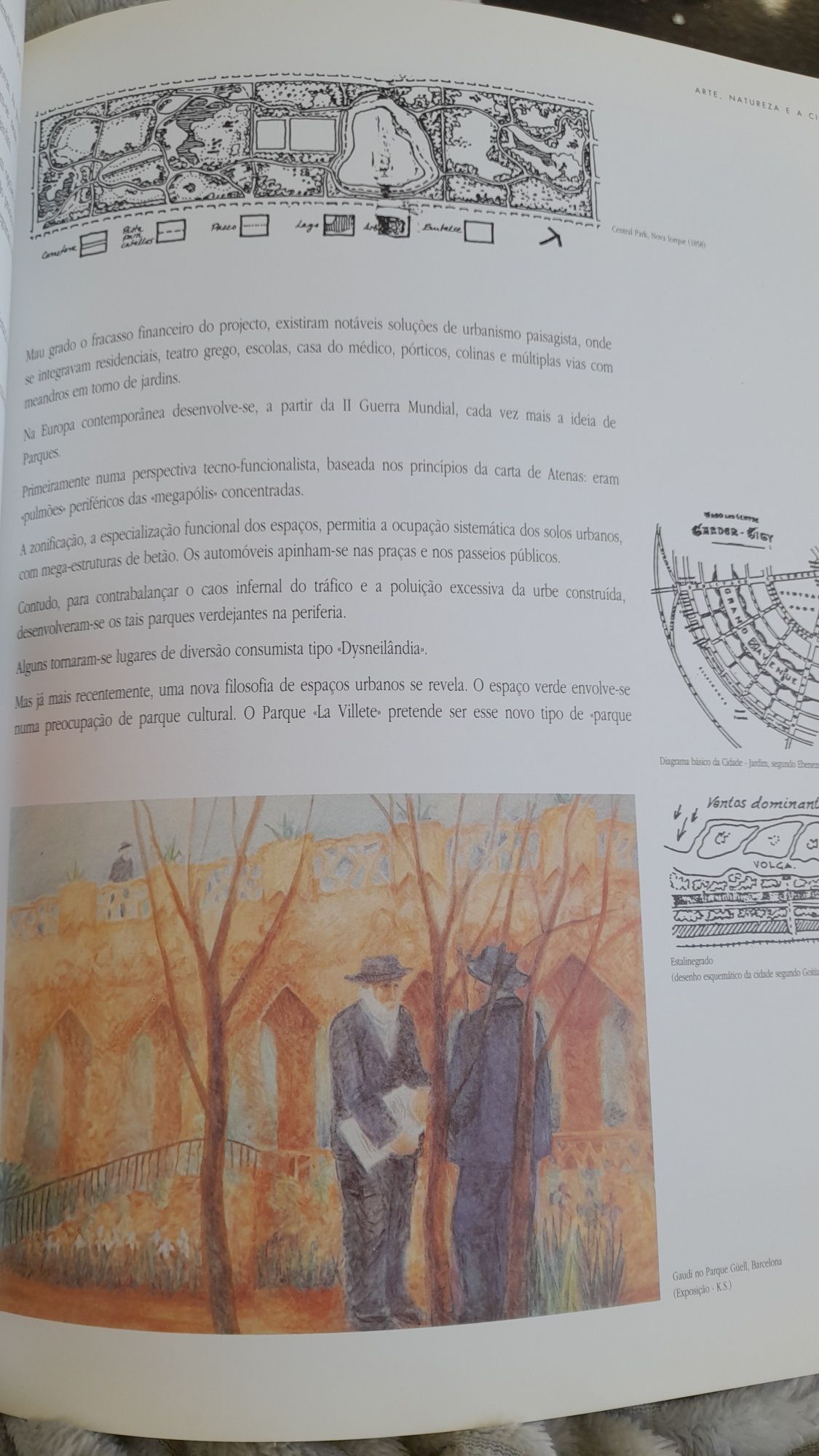 Livro Arte, Natureza e a Cidade Jacinto Rodrigues