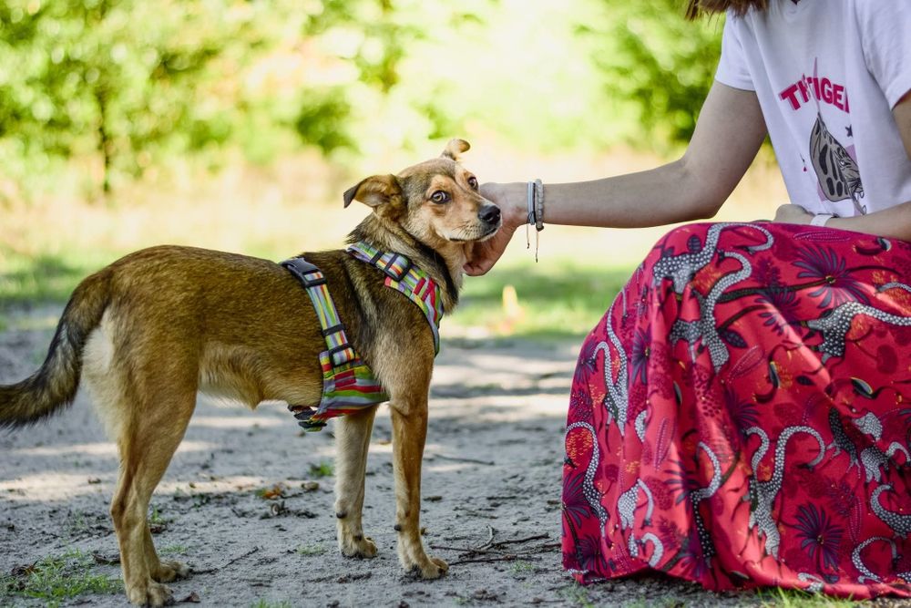 Cudowna Fretka szuka najwspanialszego domu! 

Nie znamy jej przeszłośc