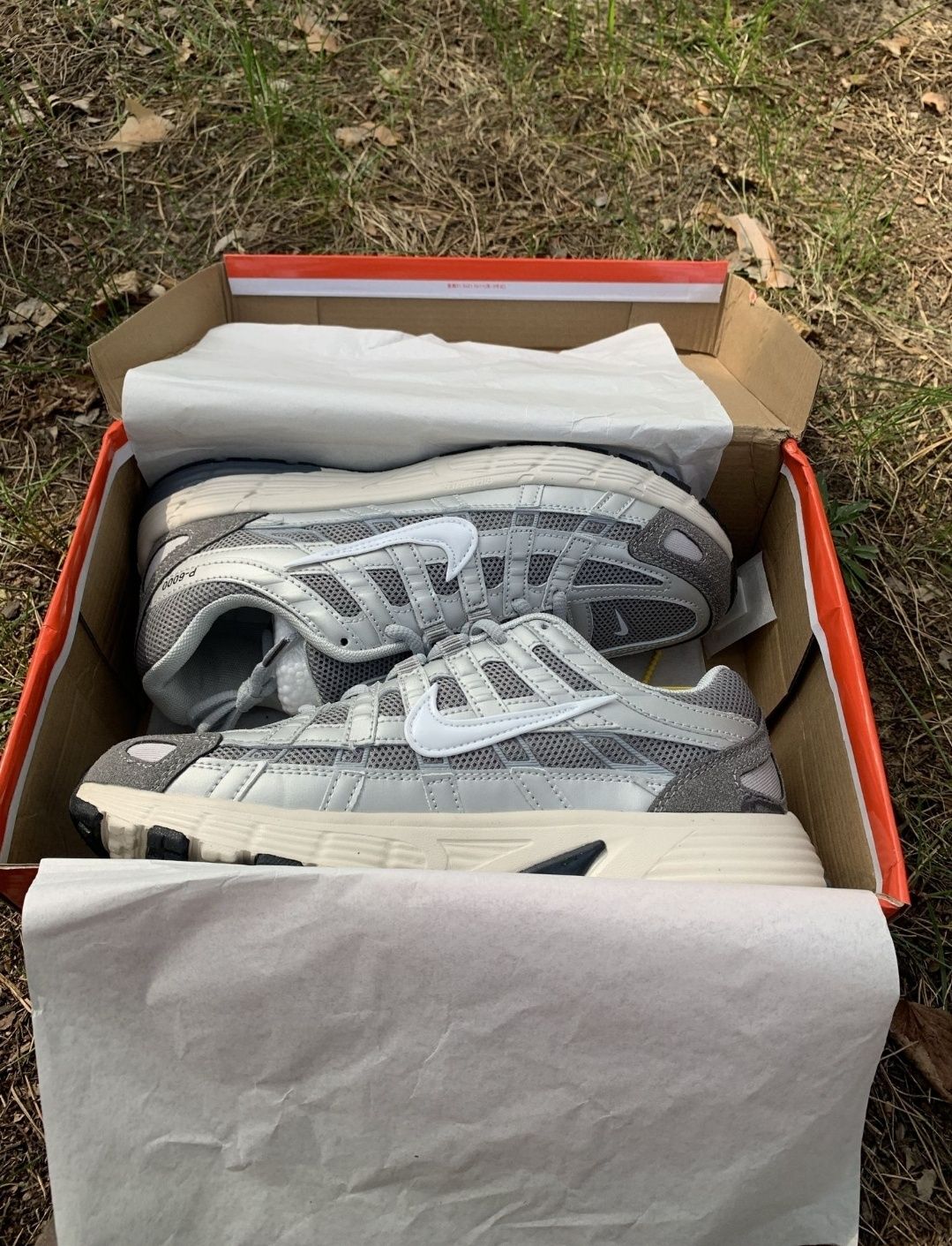 Кросівки nike p6000