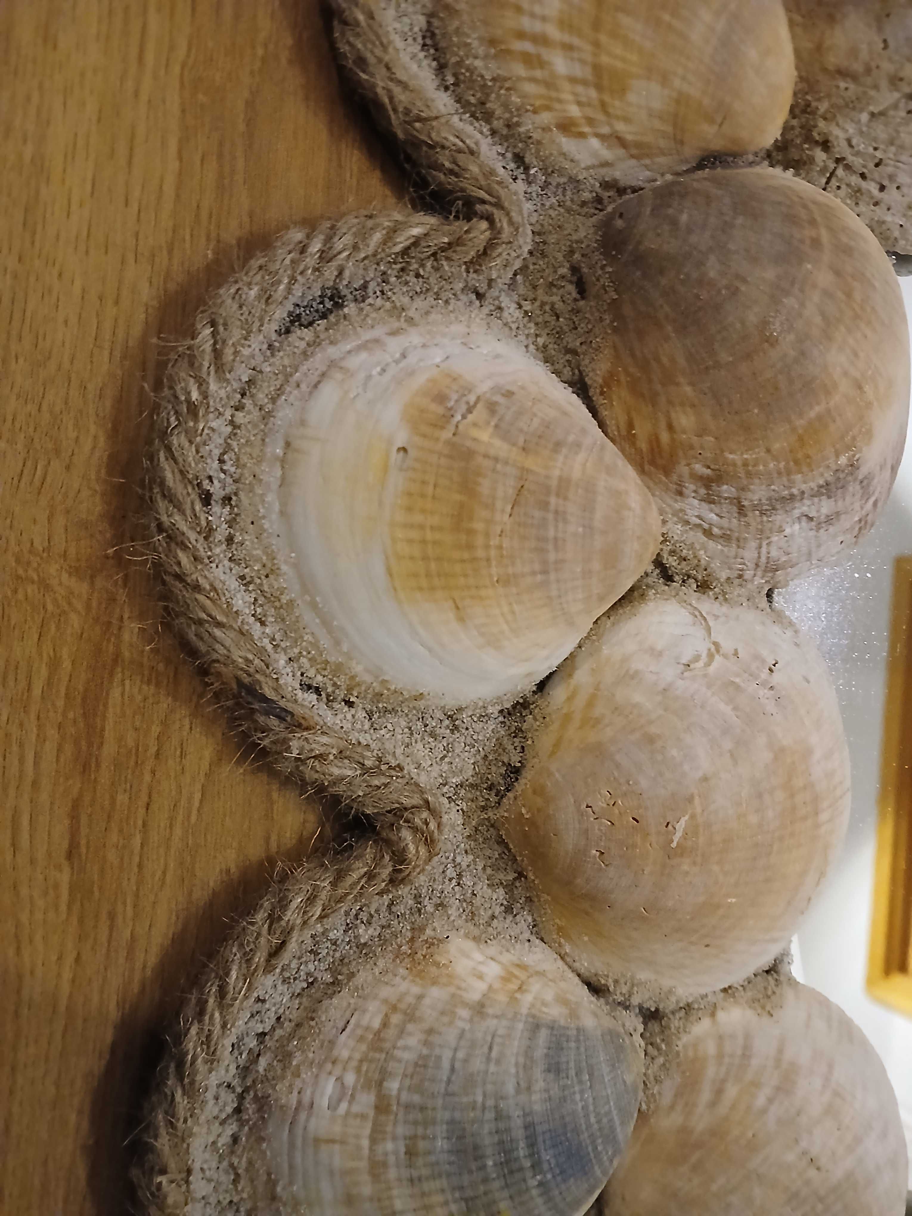 Espelho decorado com conchas
