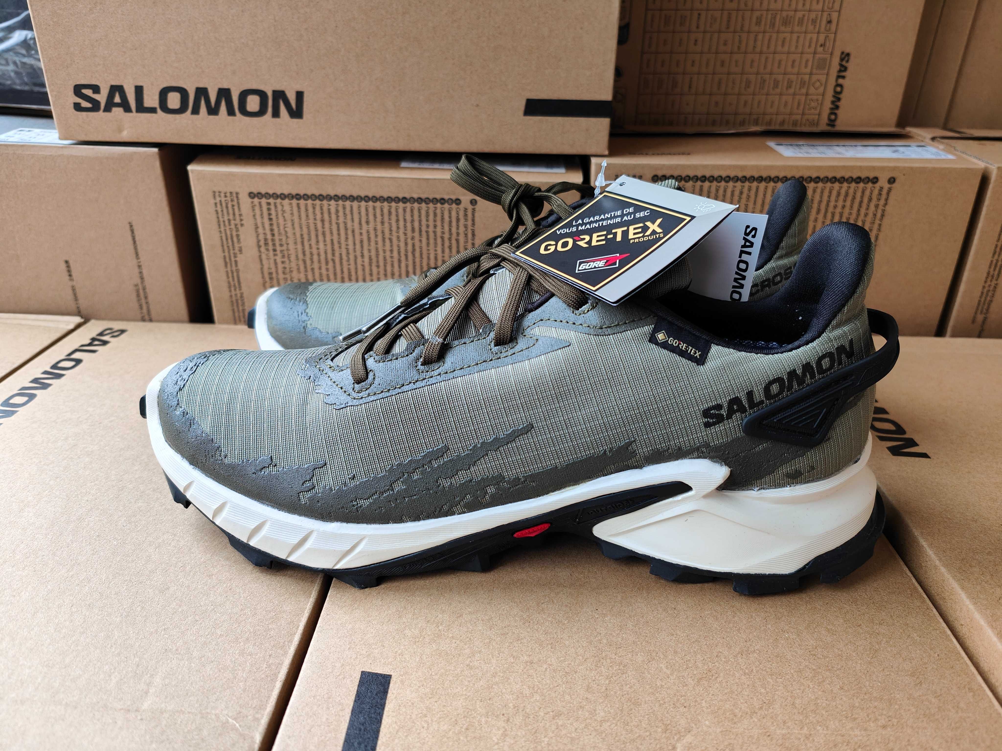 Трекінгові кросівки Salomon Alphacross 4 GTX .