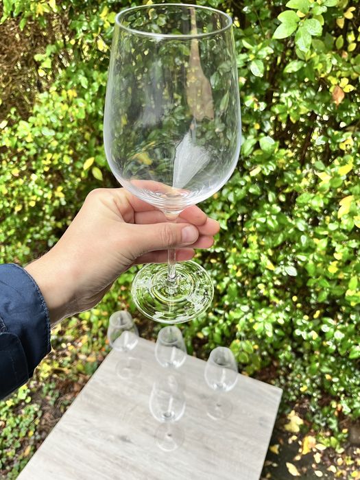 Бокали для білого вина Royal Boch