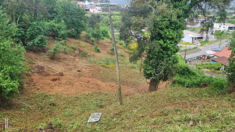 Limpeza de terrenos