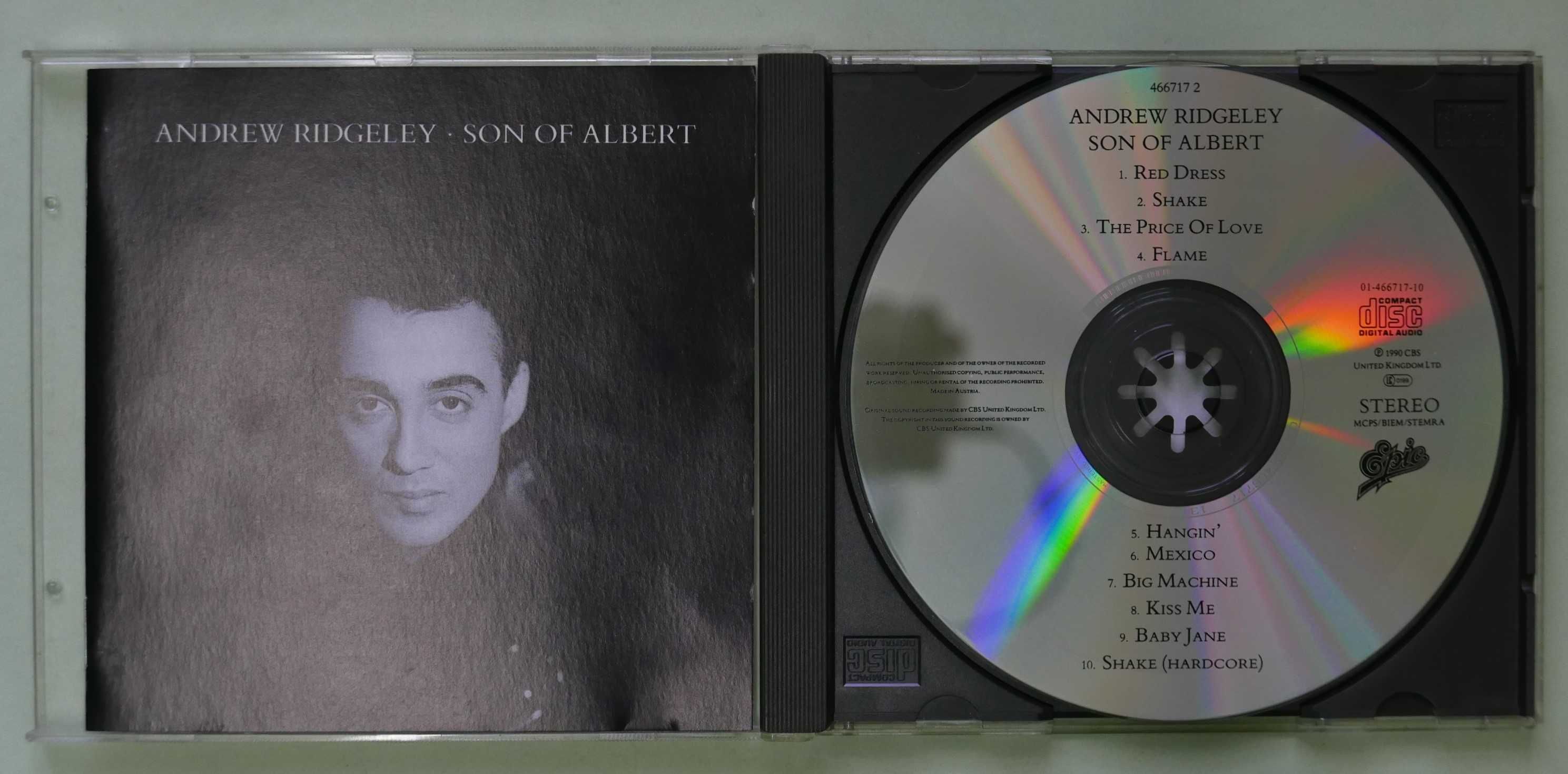 Andrew Ridgeley - Son of Albert