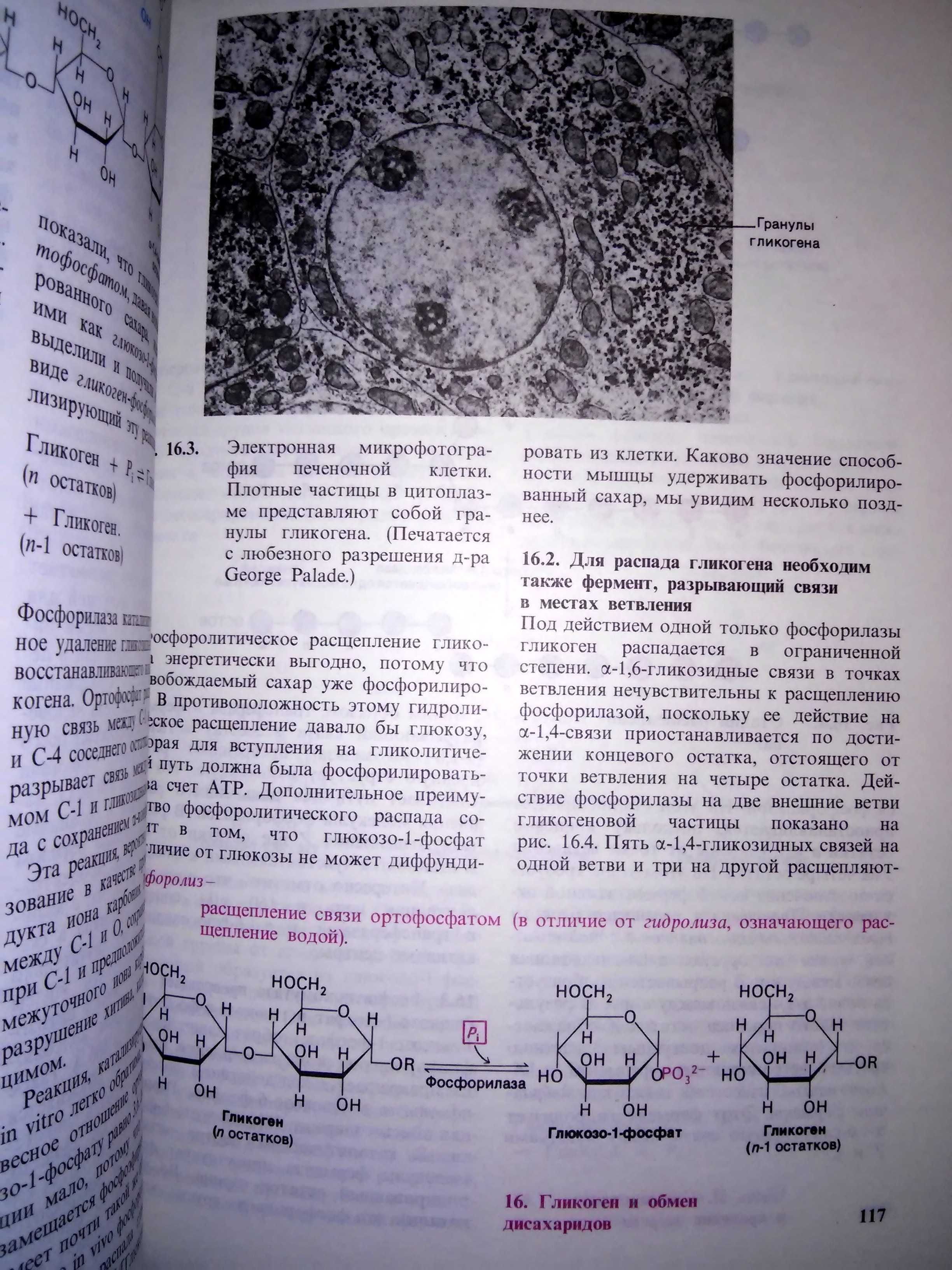 Страйер Биохимия в 3-х томах