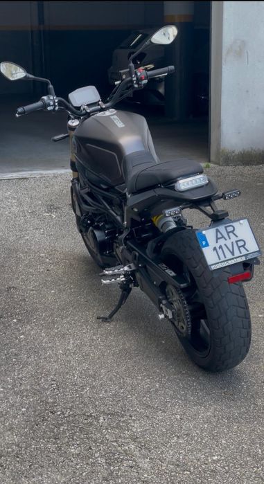 Benelli Leoncino 800