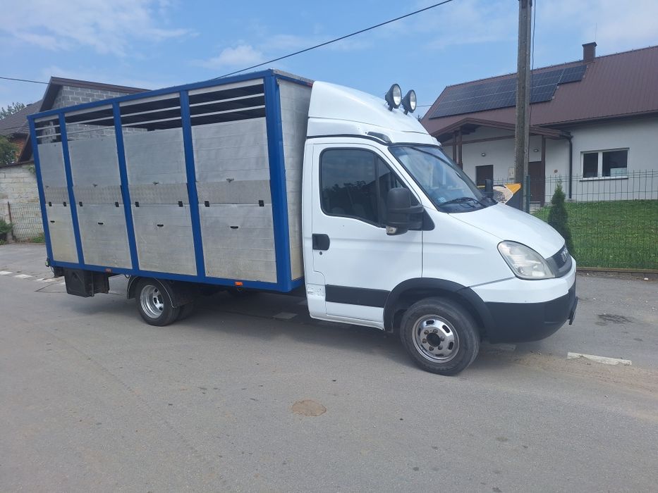 Iveco do przewozu zwierząt z waga