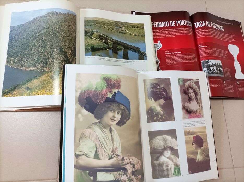 Livros antigos de capa dura com Ilustrações (vintage)