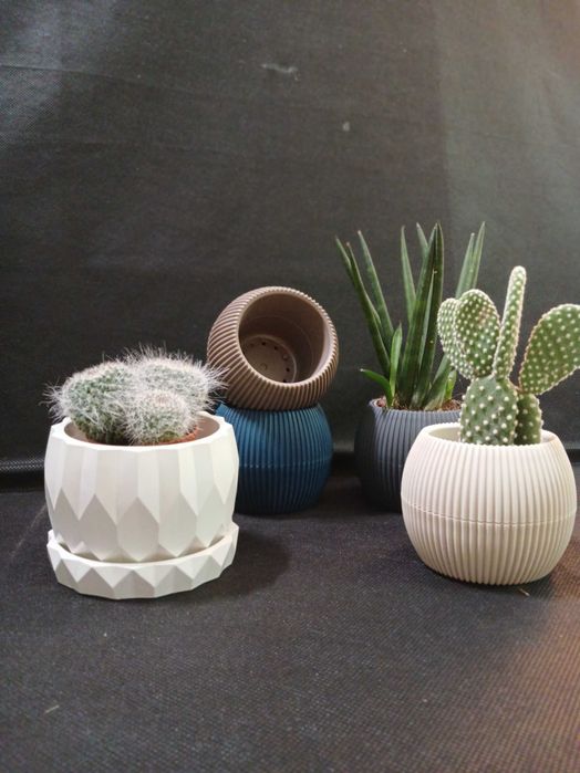 Горщики для квітів, сукулентів та кактусів.