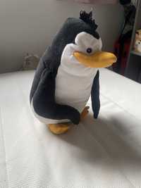 Maskotka pingwin z madagaskaru