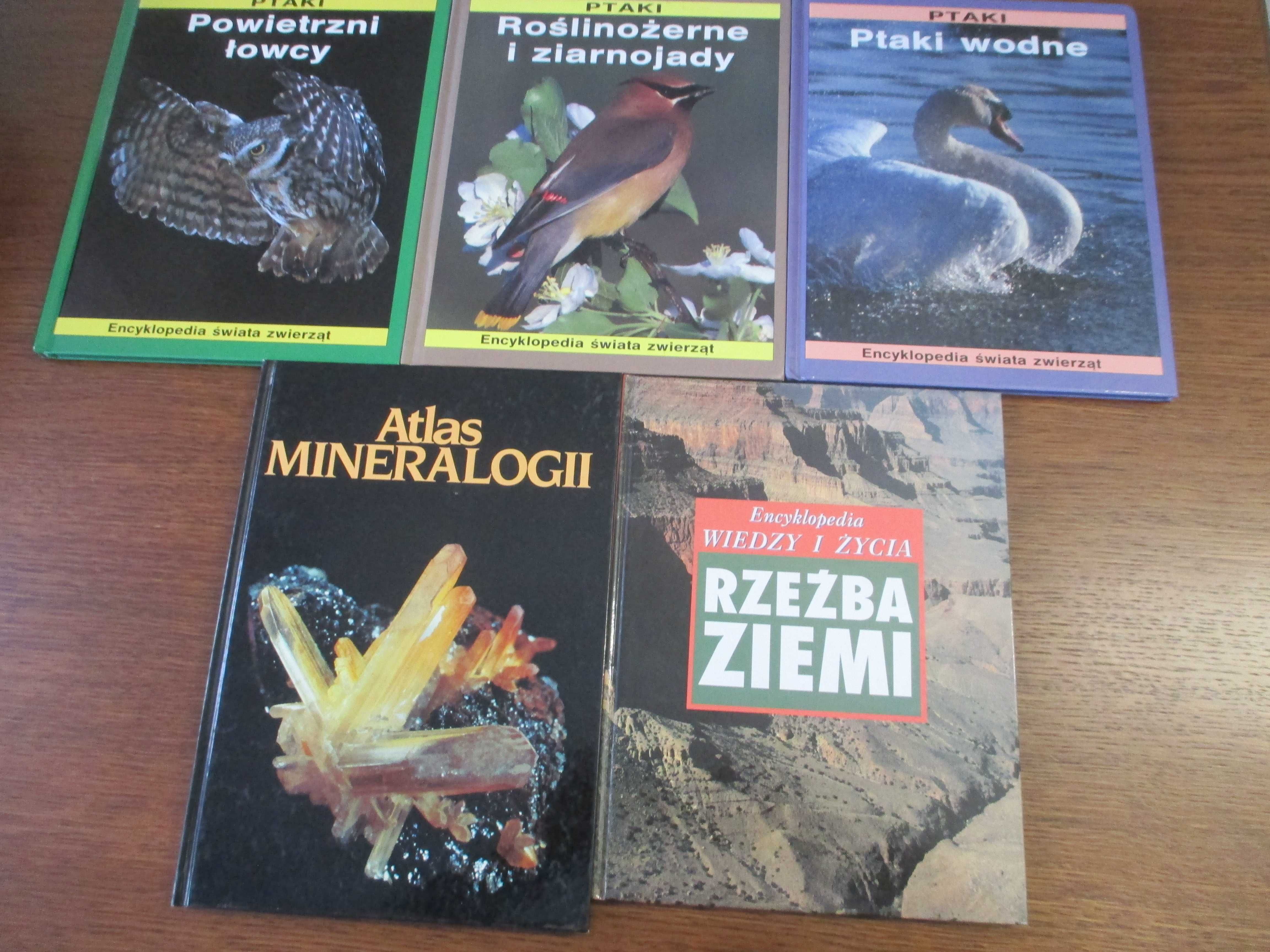 Książka Encyklopedia świata zwierząt, Ptaki, Roślinożerne i ziarnojady