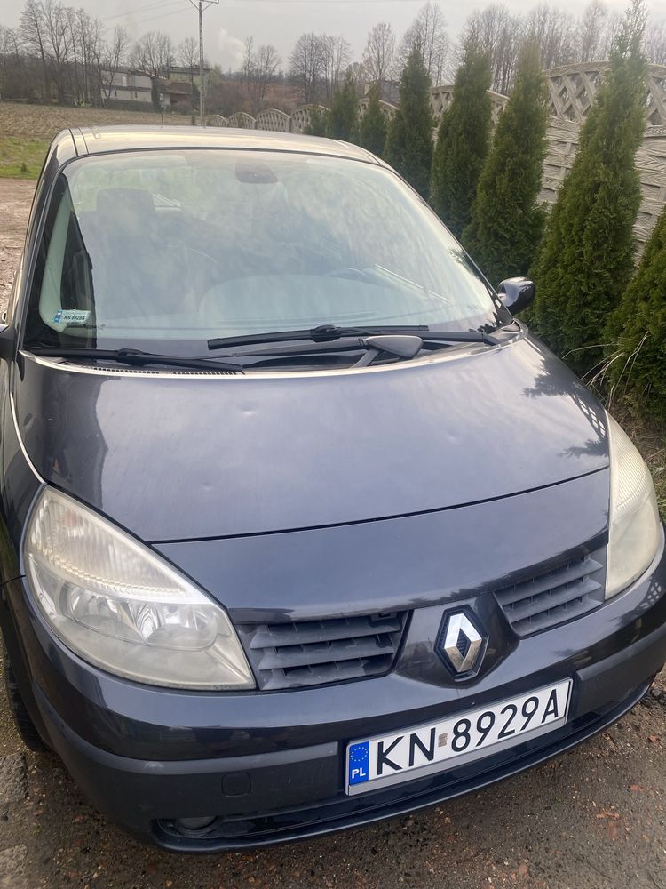 Srzedam Renault Scenic II