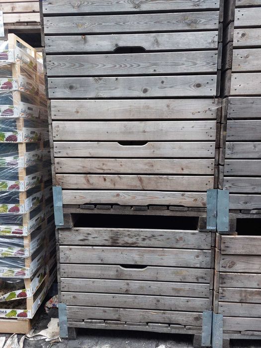 Skrzyniopaleta drewniana 120x100