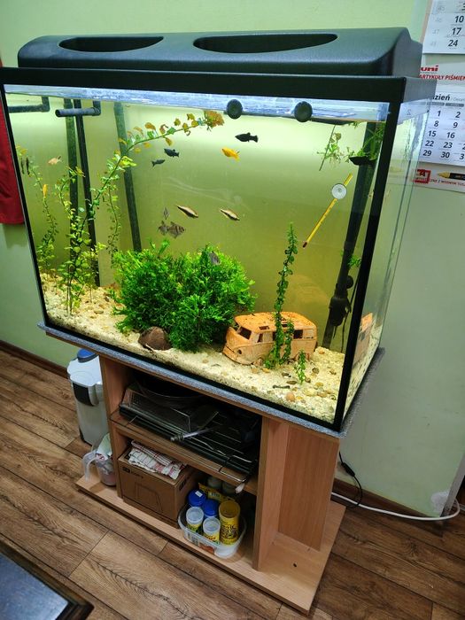 Akwarium 170 L  z filtrem i obsadą