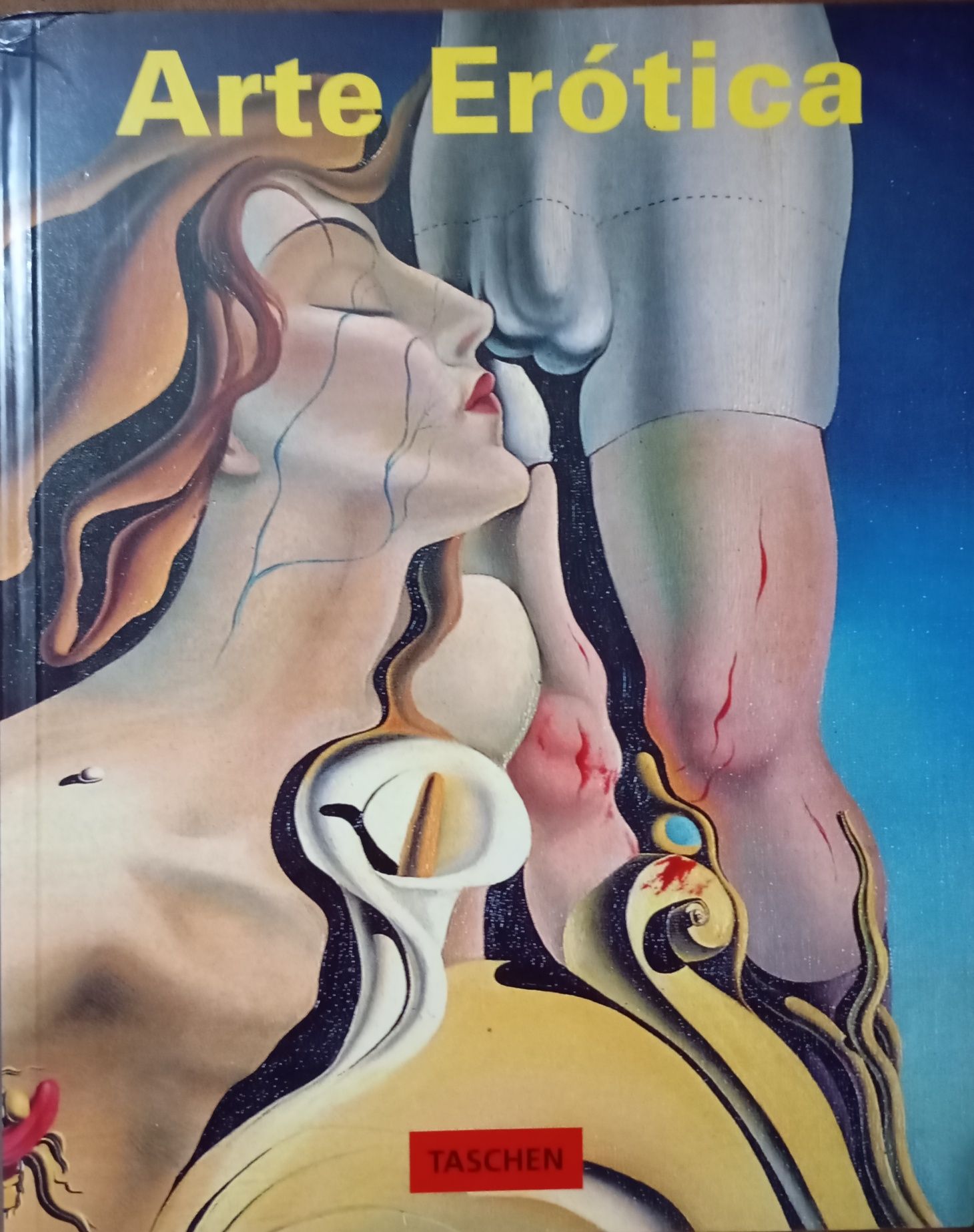 Livro -Arte Erótica