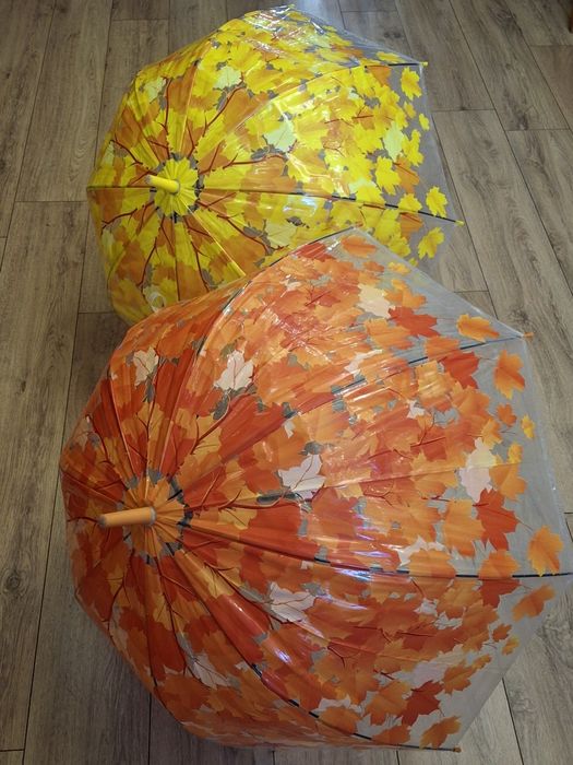 Прозора парасолька з куполом грибком і кленовим листям