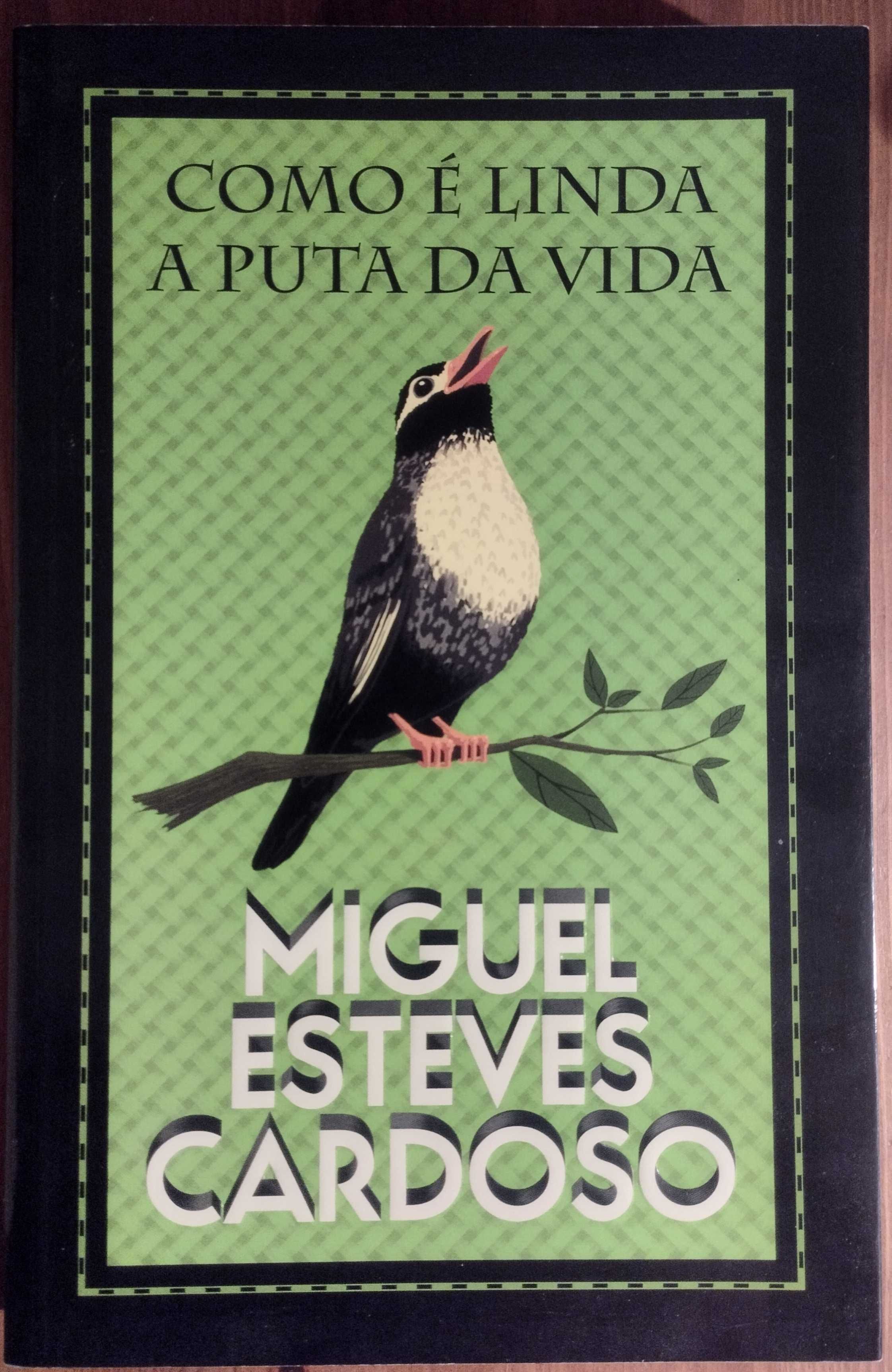 Como é Linda a Puta da Vida - Miguel Esteves Cardoso