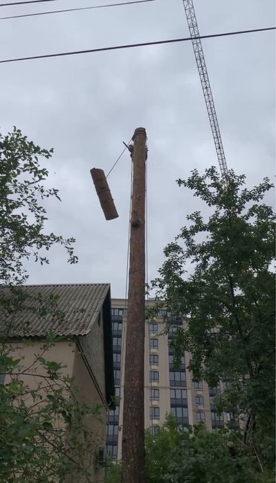 Зрізання дерев|Видалення дерев|Кронування дерев|Корчування|Обрізка сад