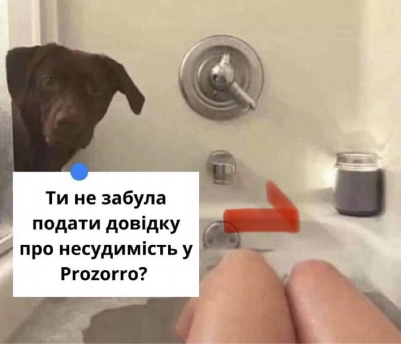 Тендерний супровід Prozorro — підготовка документів, оскарження АМКУ
