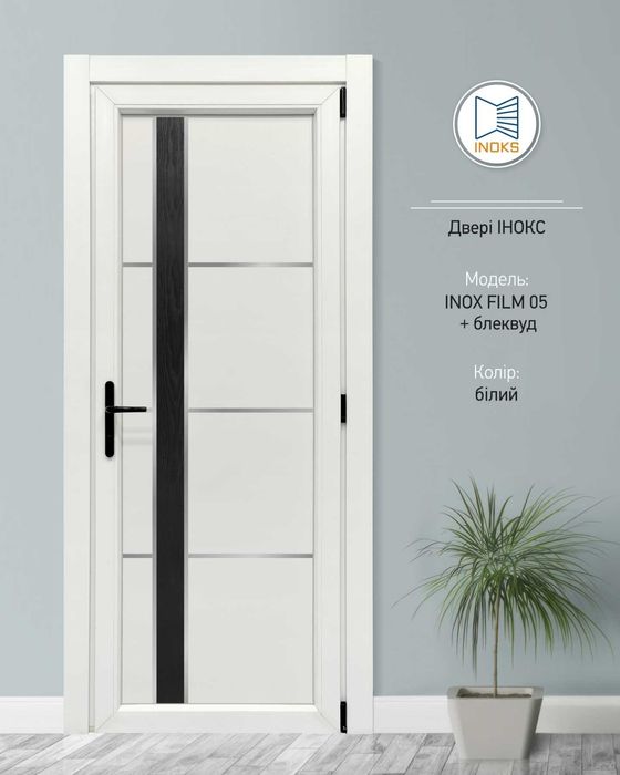 Пластикові двері для вулиці і будинку INOX 04+скло білі