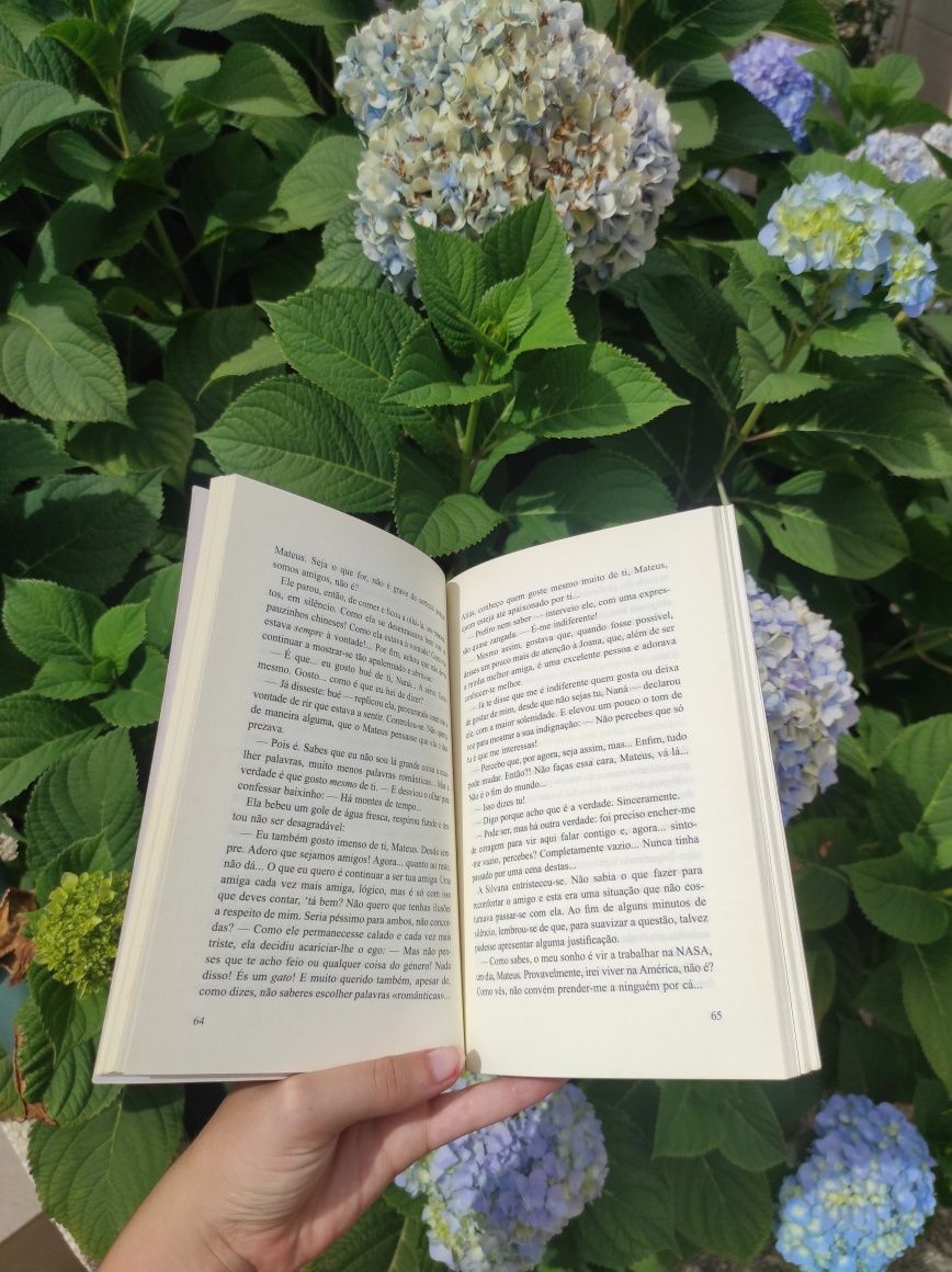 Livro "Entre irmãs"