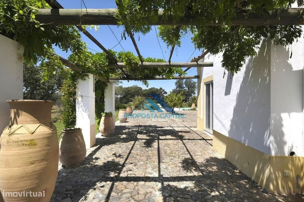 Moradia em Monforte- Piscina - Pátios - Alpendres