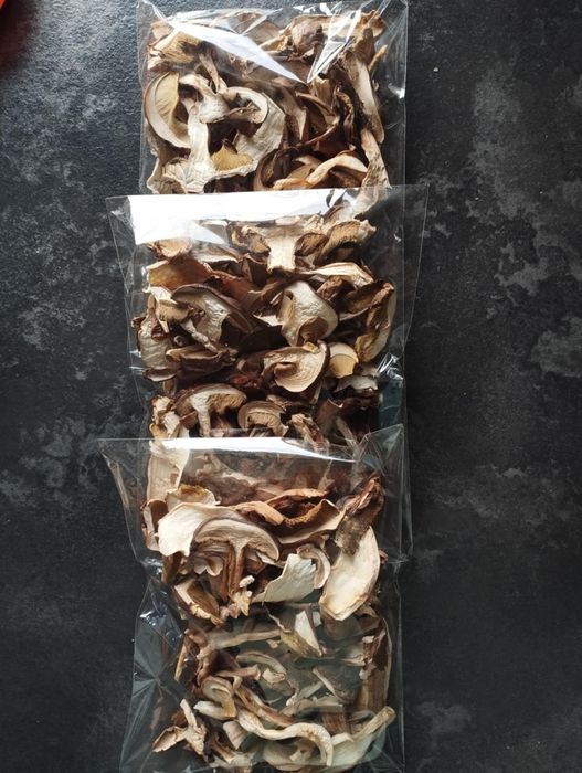 Grzyby suszone atest grzyboznawcy