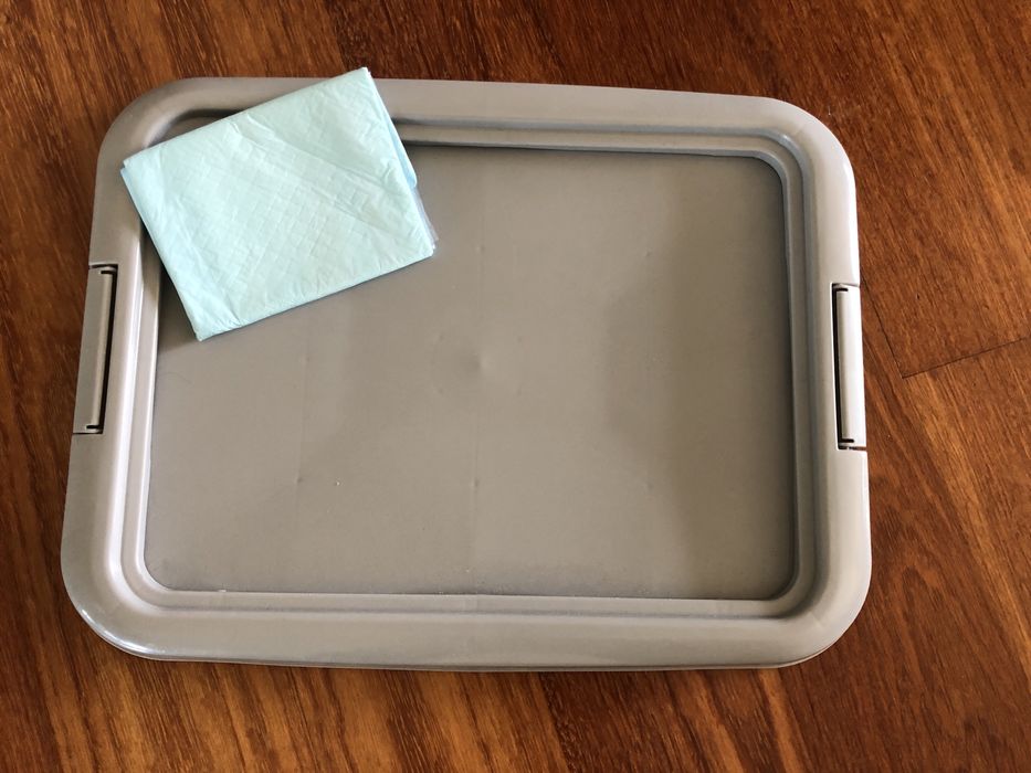 Puppy Trainer Flamingo