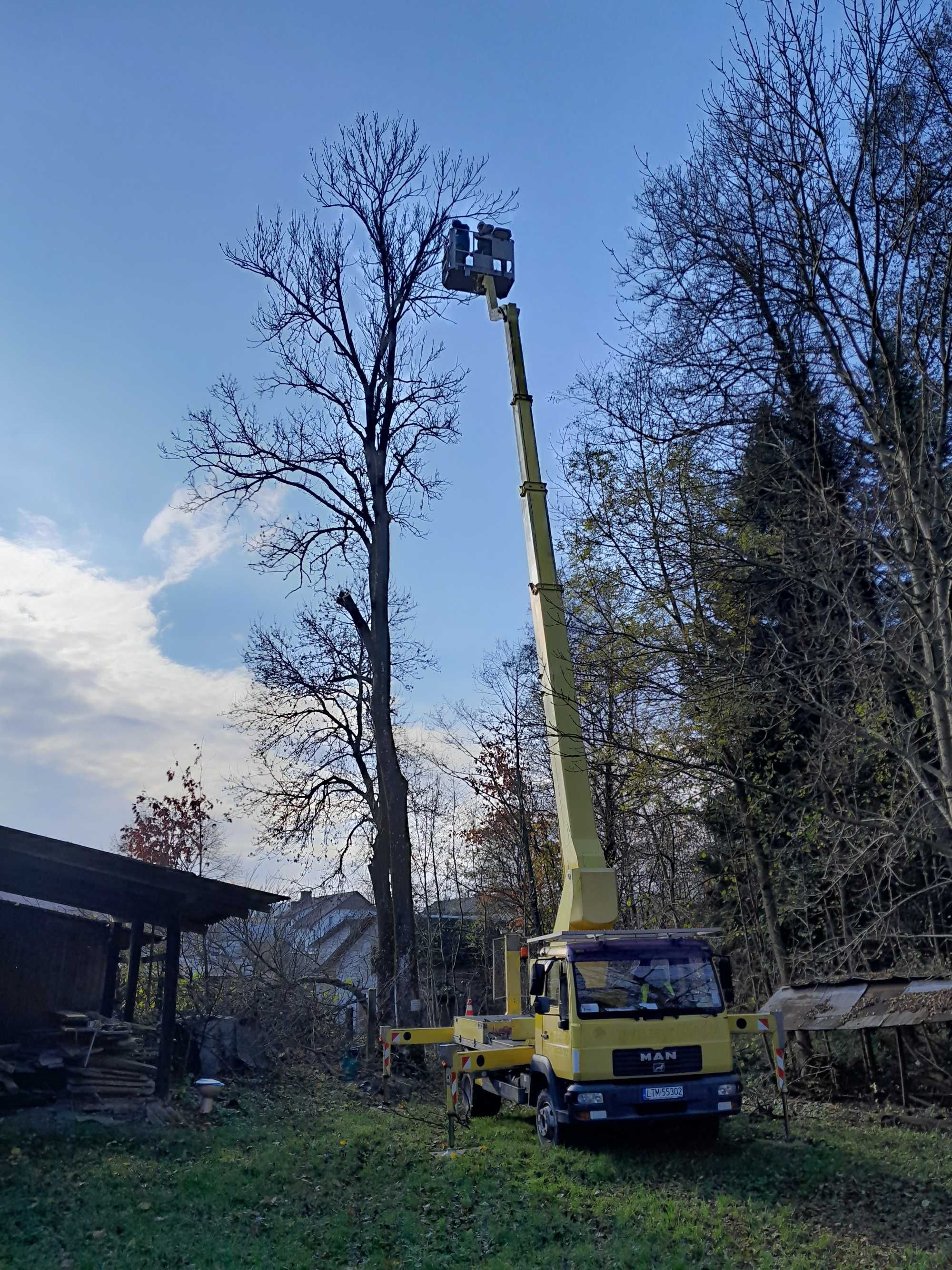 Usługi podnośnikiem koszowym 22-27m wycinka drzew.