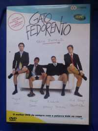 DVD Gato Fedorento - Série Fonseca