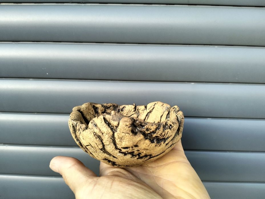 Vaso bonsai kusamono