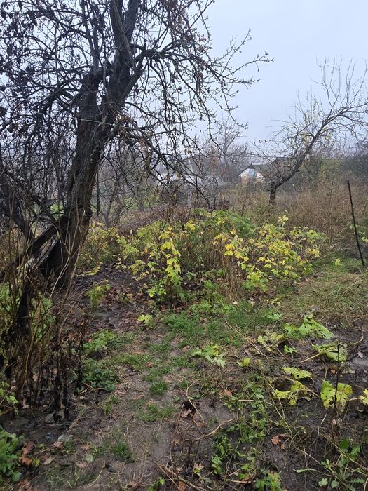 Продаж частини будинку