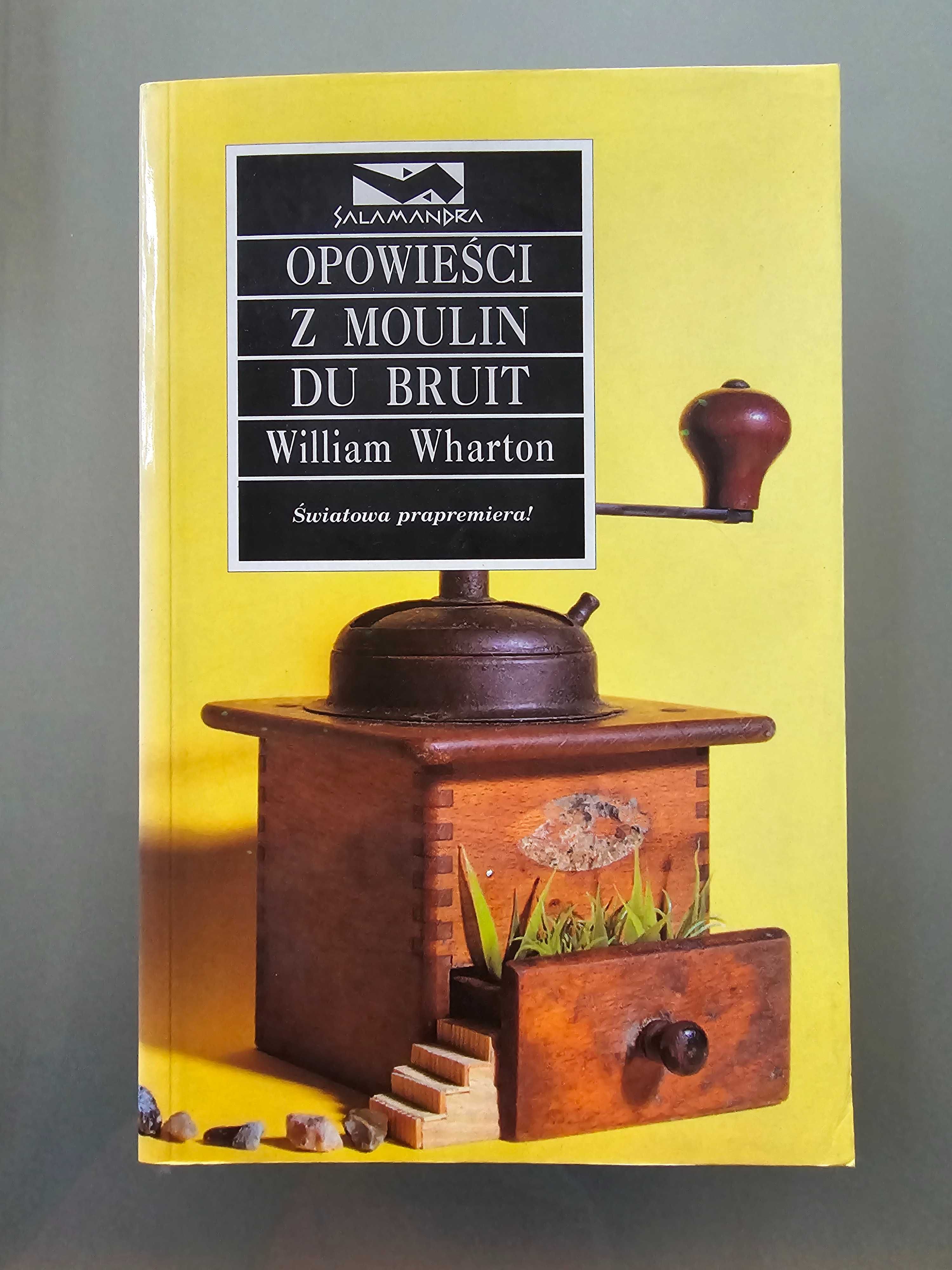 Opowieści z Moulin du Bruit - William Wharton
