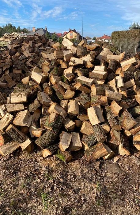 PROMOCJA!GRAB buk DĄB darmowy dowoz okazja