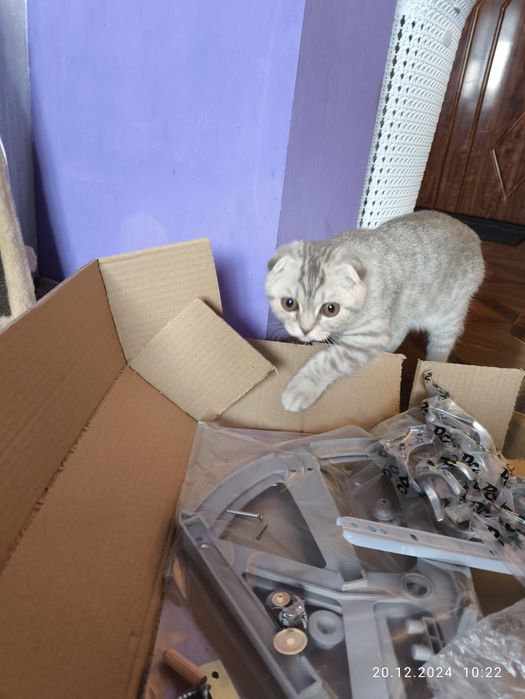 Збірка меблів , складання і розбирання меблів, сборка мебели.