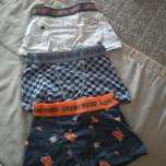 Boxers novos 6anos