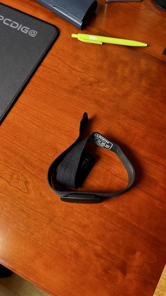 Garmin premium heart rate monitor
