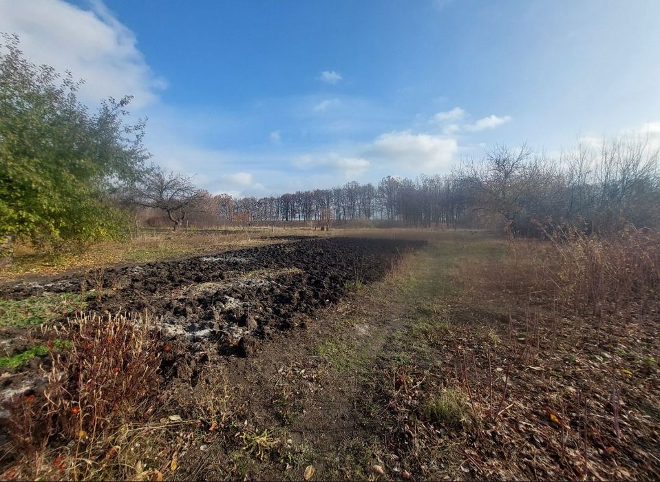 Продам дом в Солоницевском Отг (п.Ольшаны)