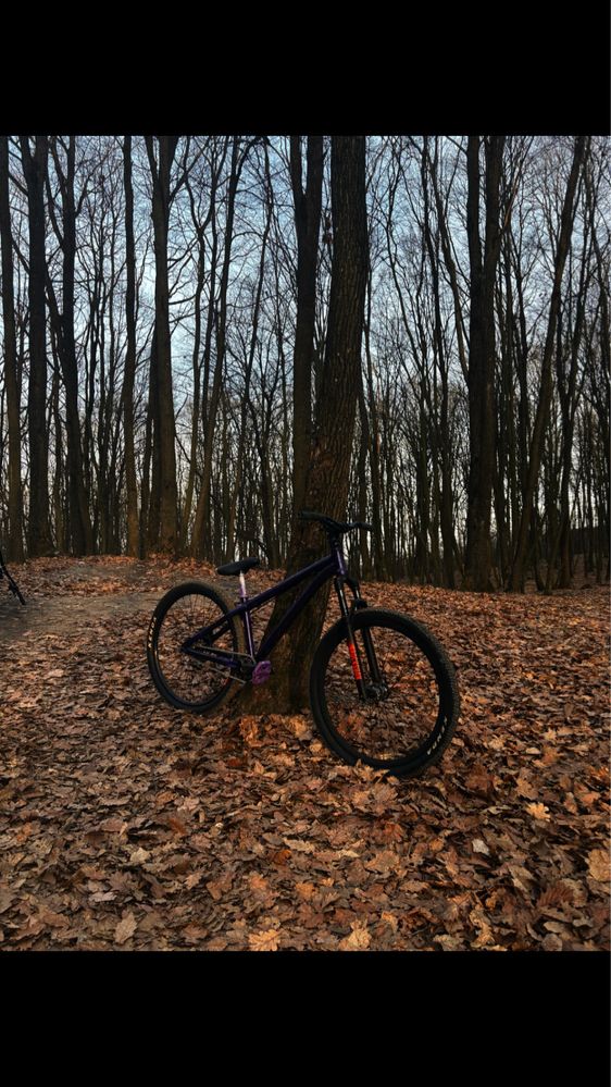 dirt octane one zircus 2014