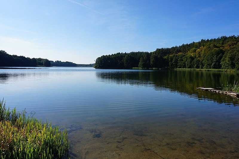 Domek nad jeziorem - Bożepole Królewskie -8 miejsc noclegowych