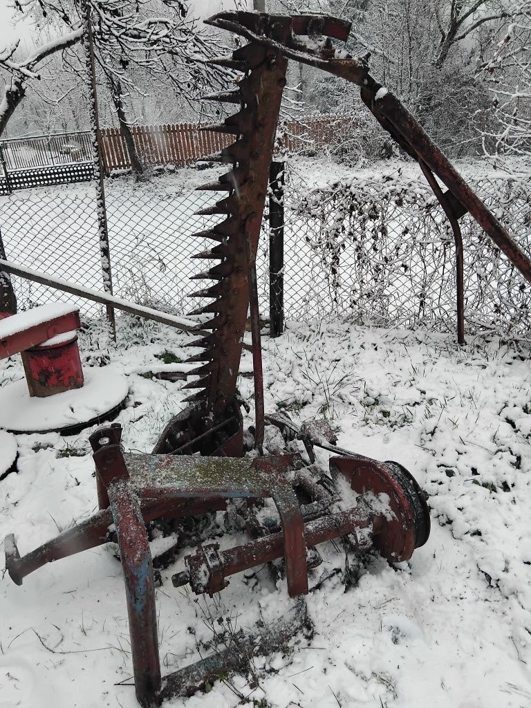 Косалка сегментна