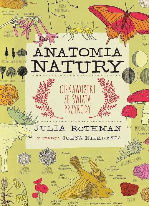 Anatomia natury. Ciekawostki ze świata przyrody. Entliczek