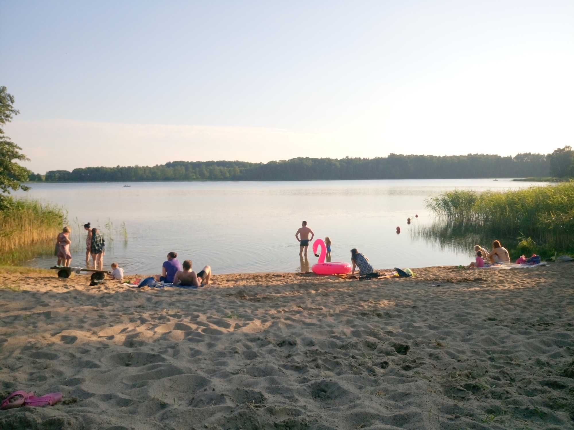 Domki nad jeziorem Wersminia ; plaża , łowisko , las