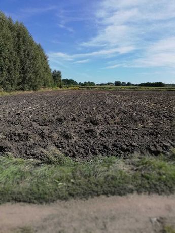 Działka rolna na Starym Złotnie z WZ - dobra lokata kapitału