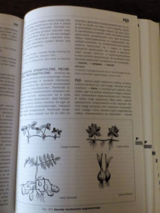 Encyklopedia Biologia