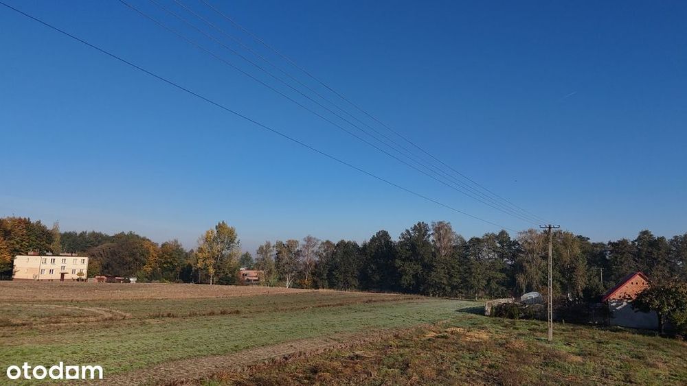 Sprzedaż działki  – cicha okolica 16 km od Kalisza